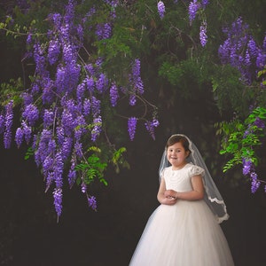 INSTANT DOWNLOAD - Wisteria Digital Background - Digital Background for PS & PSe - Digital Backdrop -  Photoshop Composites