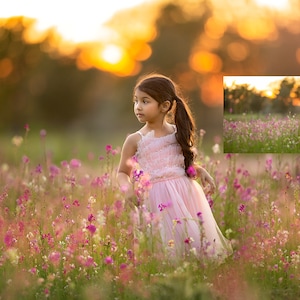 INSTANT DOWNLOAD: Blush Fields - Wildflower Digital Background for PS & PSe - Photoshop Digital Backdrops - Composites