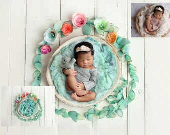 INSTANT DOWNLOAD - Spring Lullabies - Newborn Digital Backdrops for Ps & PSE - Digital Backgrounds - Photoshop - Photoshop Composites