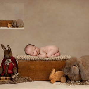 INSTANT DOWNLOAD - Spring Newborn Digital Background for PS & Pse- Digital Backdrops - Ps Composites - Spring Digital Backdrops