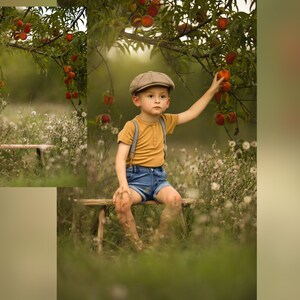 INSTANT DOWNLOAD - Peach Orchard Digital Background - Digital Background for PS & PSe - Digital Backdrop -  Photoshop Composites