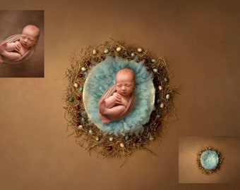 INSTANT DOWNLOAD - Spring Lullabies - Newborn Digital Backdrops for Ps & PSE - Digital Backgrounds - Photoshop - Photoshop Composites