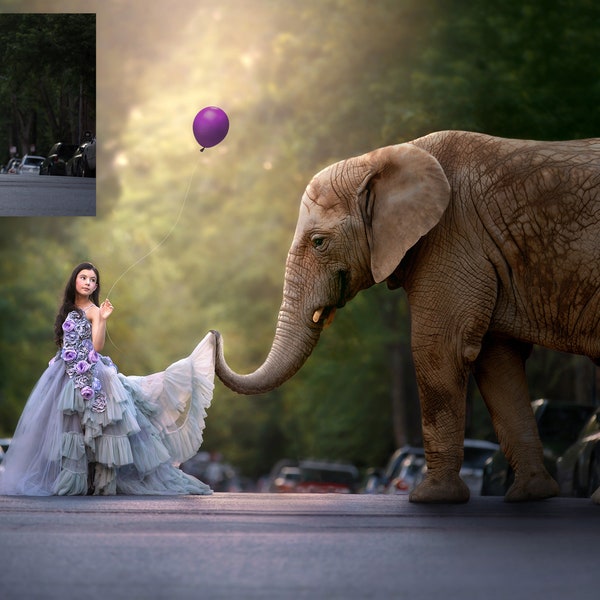 Ivory Dreams–Elephant Overlay and Photoshop Action Collection for PS & PSE - Elephant Overlays - Photoshop Elephants - Animal Overlays