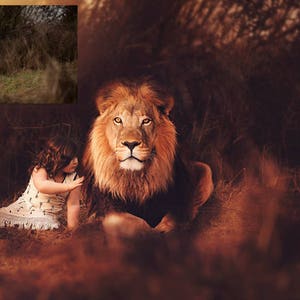 Lion Heart - Animal Overlay and Photoshop Action Collection for PS & PSE - Lion Overlays - Safari Animal Overlays - Jungle Animal Overlays