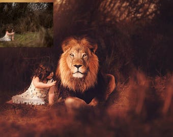 Lion Heart - Animal Overlay and Photoshop Action Collection for PS & PSE - Lion Overlays - Safari Animal Overlays - Jungle Animal Overlays