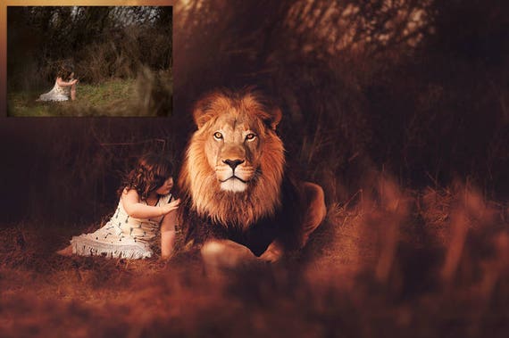 Lion Heart Animal Overlay and Photoshop Action Collection for PS & PSE Lion  Overlays Safari Animal Overlays Jungle Animal Overlays -  New Zealand
