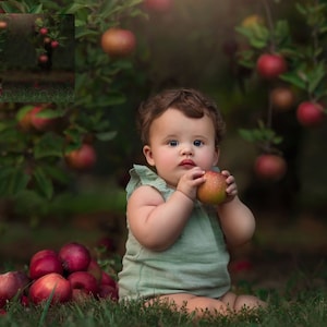 INSTANT DOWNLOAD: Apple Orchard Digital Background for Ps & Pse - Digital Backdrops - Photoshop Composites - Fall Digital Backdrop - Orchard