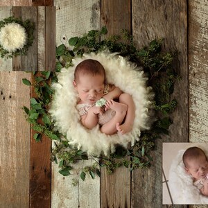 INSTANT DOWNLOAD - Spring Lullabies - Newborn Digital Backdrops for Ps & PSE - Digital Backgrounds - Photoshop - Photoshop Composites