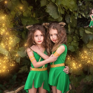 INSTANT DOWNLOAD - Fairy Dust - Photoshop Action and Brush Collection for Photoshop and PSE