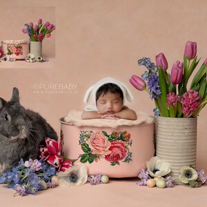 INSTANT DOWNLOAD - Spring Newborn Digital Background for PS & Pse- Digital Backdrops - Ps Composites - Spring Digital Backdrops