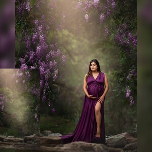 INSTANT DOWNLOAD - Wisteria Digital Background - Digital Background for PS & PSe - Digital Backdrop -  Photoshop Composites