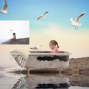 Seaside Seagulls – Bird Overlay and Photoshop Action Collection for PS & PSE - Seagull Overlays - Photoshop Seagulls - Animal Overlays
