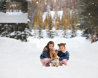 INSTANT DOWNLOAD - Winter Digital Background for PS & Pse- Digital Background - Ps Composites -Winter Snowy Mountain Digital Backdrop