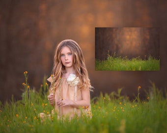 INSTANT DOWNLOAD- Yellow Daisies- Spring Digital Background for Ps & Pse - Digital Backdrop - Photoshop - Photoshop Composite