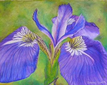 Original Oil Pastel Painting - Hope's Messenger - Iris - Blue Flag - Flower Art