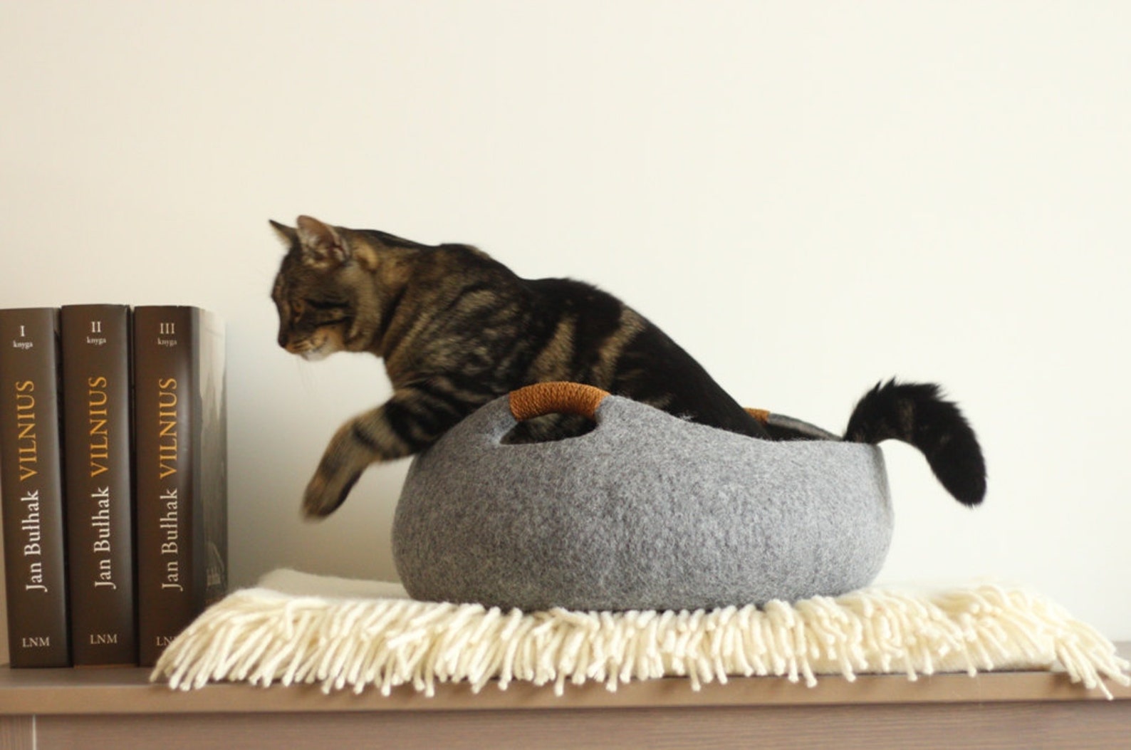Cat bed/cat house/cat cave/basket felted cat bed Etsy