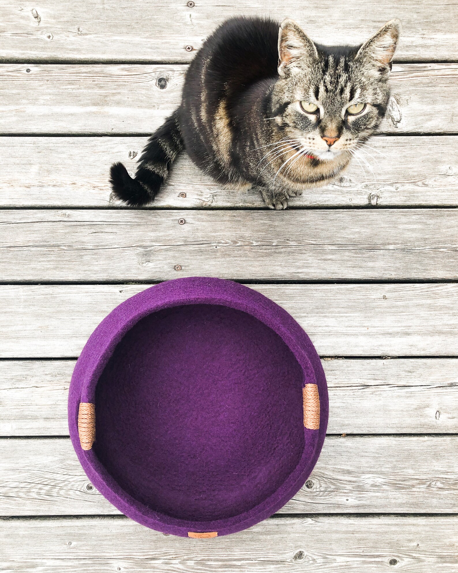 20 Various Colors Cat Bed/cat House/cat Cave/basket Felted Cat Etsy