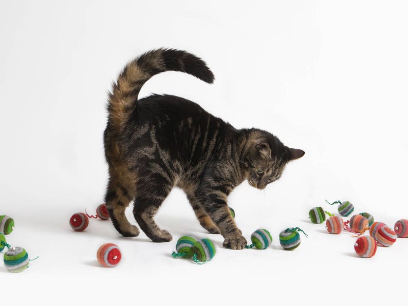 Cat toy with bell felted set of two Etsy