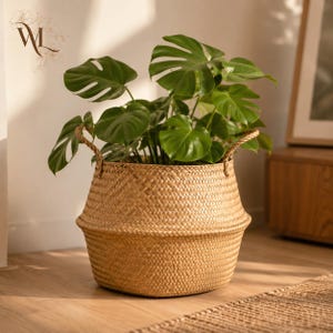 May include: A round, woven seagrass basket with a natural tan colour and two sturdy rope handles. The basket features a wide, tapered base and a narrower top opening, currently holding a vibrant green Monstera plant with large, split leaves.