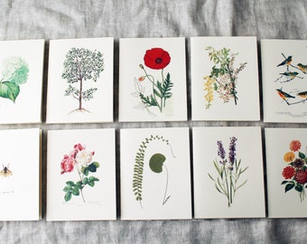 greeting cards etsy