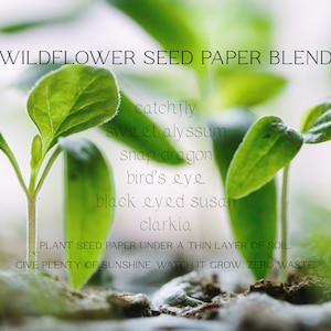 Wildflower Seed Favors Sustainable Favors Seed Packets Custom Seed Paper Favors Sustainable Wedding Favors Seeded Paper Favor image 7