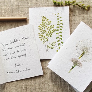 Nature-Themed Seed Paper Blank Greeting Cards Pack of 10 Biofriendly Cards image 2