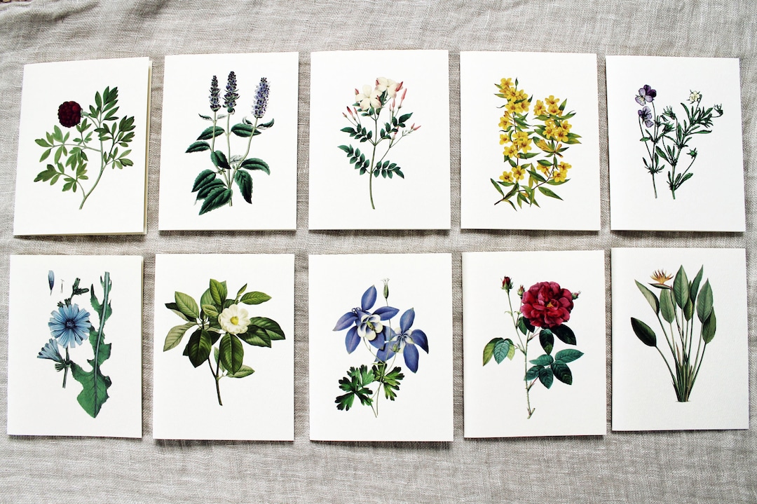 10 Flower Greeting Cards Set | Flower Blank Note Cards Set | Greeting ...