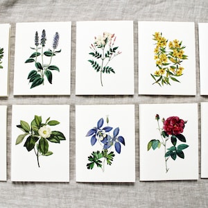 10 Flower Greeting Cards Set | Flower Blank Note Cards Set | Greeting Cards Handmade Variety Pack
