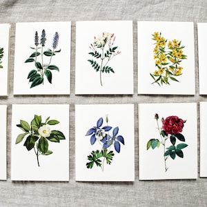 Juego de 10 tarjetas de felicitación con flores / Juego de tarjetas de notas en blanco con flores / Paquete variado de tarjetas de felicitación hechas a mano