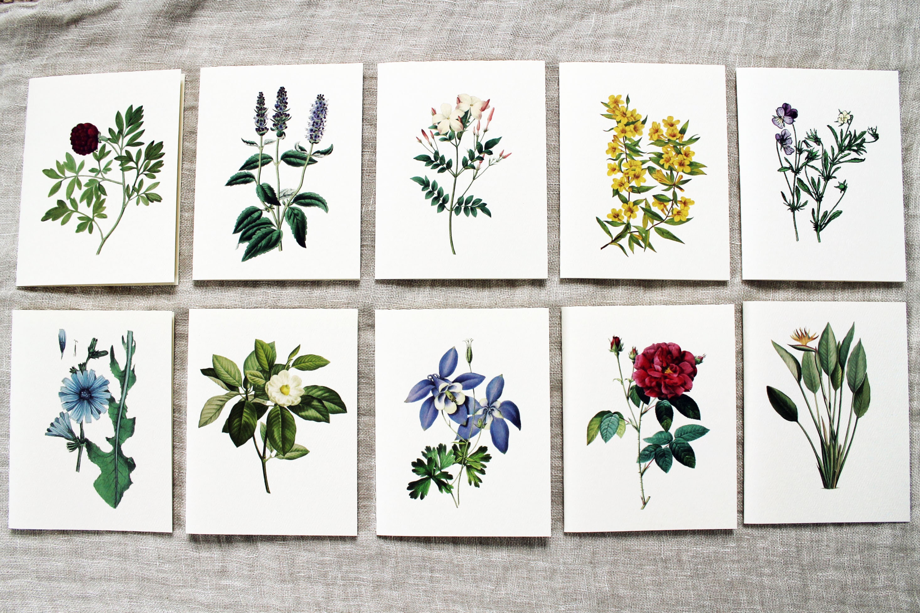 10 Flower Greeting Cards Set | Flower Blank Note Cards Set | Greeting ...