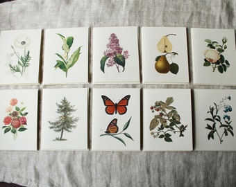 10 Vintage Botanical Folded Greeting Cards with Envelopes | Blank Folded Note Cards | Add Envelope Liners Optional | Set of 10 Cards