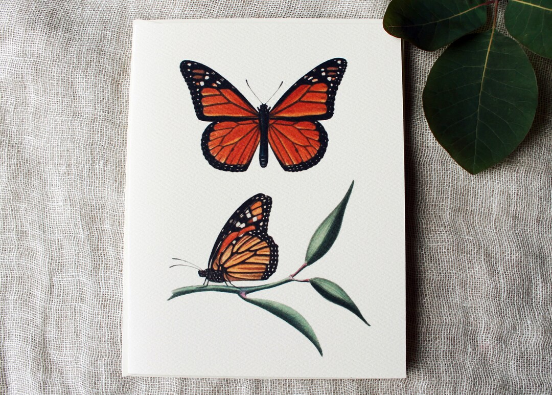 10 Butterfly Folded Note Cards With Envelopes | Monarch Greeting Card ...