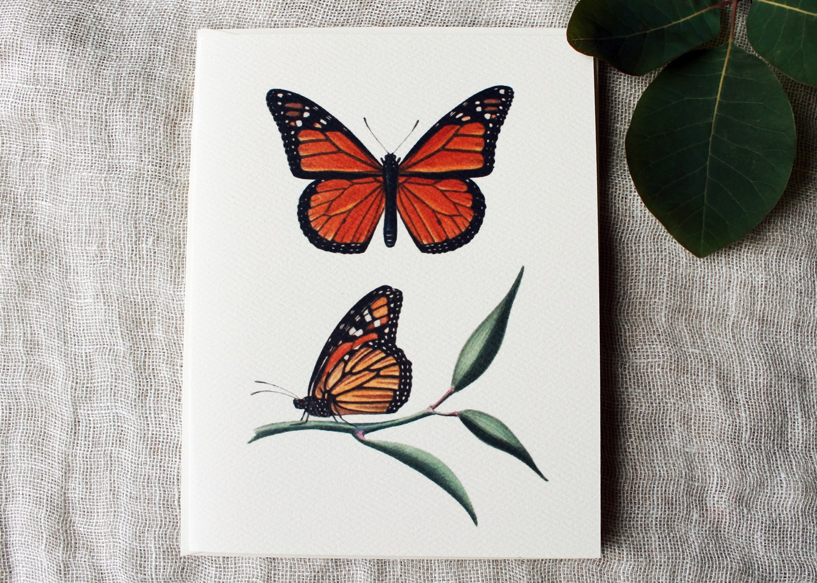 10 Butterfly Folded Note Cards With Envelopes | Monarch Greeting Card ...