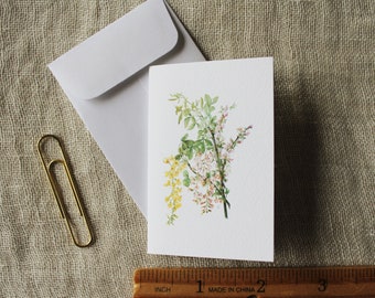 Mini Cards | Small Cards | Mini Blank Cards | Mini Note Cards | Little Cards