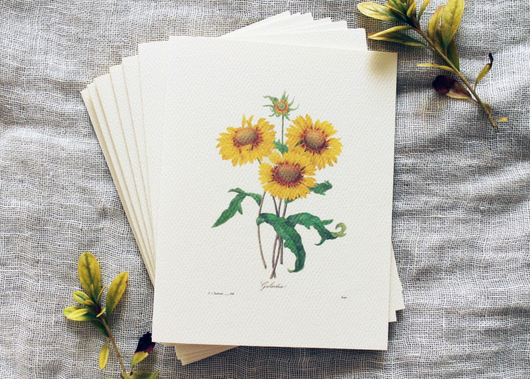 10 Sunflower Folded Note Cards With Envelopes | Botanical Greeting Card ...