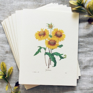 10 cartes de correspondance pliées Tournesol avec enveloppes | Ensemble de cartes de voeux botaniques | Cartes de voeux bohèmes | Cartes de voeux florales | Carte Verdure
