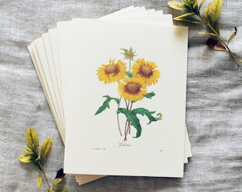 10 Sunflower Folded Note Cards with Envelopes | Botanical Greeting Card Set | Boho Greeting Cards | Floral Greeting Cards | Greenery Card