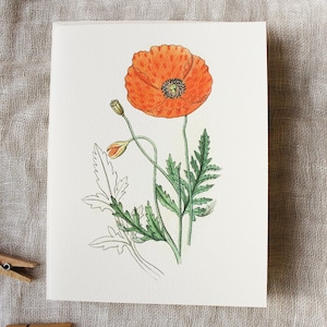 10 Poppy Flower Greeting Cards with Envelopes | Floral Folded Note Card Set | Pack of Cards | Blank Botanical Greeting Cards  | Gift for Her