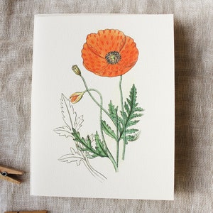Poppy Grußkarten mit Umschlägen Set mit 10 Klappkarten