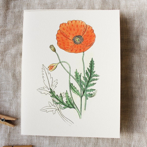 10 Poppy Flower Greeting Cards with Envelopes | Floral Folded Note Card Set | Pack of Cards | Blank Botanical Greeting Cards  | Gift for Her