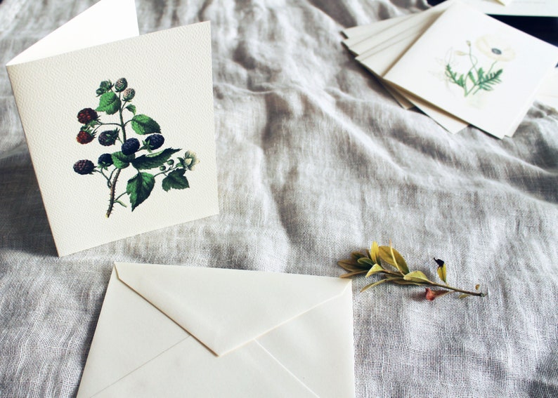 May include: Two blank white cards with a floral design on each. The card on the left features a black and green blackberry branch. The card on the right features a white flower with green leaves. Both cards are on a light gray linen fabric.