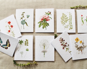 Nature-Themed Seed Paper Blank Greeting Cards - Pack of 10 Biofriendly Cards