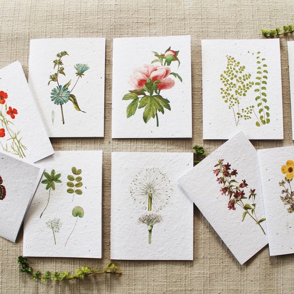 Nature-Themed Seed Paper Blank Greeting Cards - Pack of 10 Biofriendly Cards