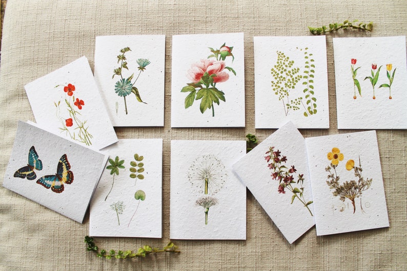 Nature-Themed Seed Paper Blank Greeting Cards Pack of 10 Biofriendly Cards image 1