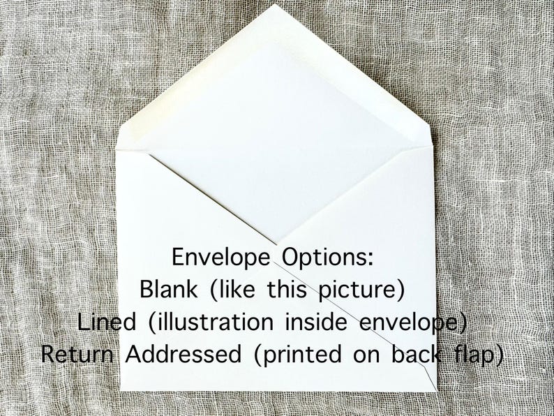 10 Blackberry Folded Note Cards with Envelopes | Berry Greeting Cards Handmade | Vintage Cards Set | Woodland Cards | Gardener Gift for Her image 10