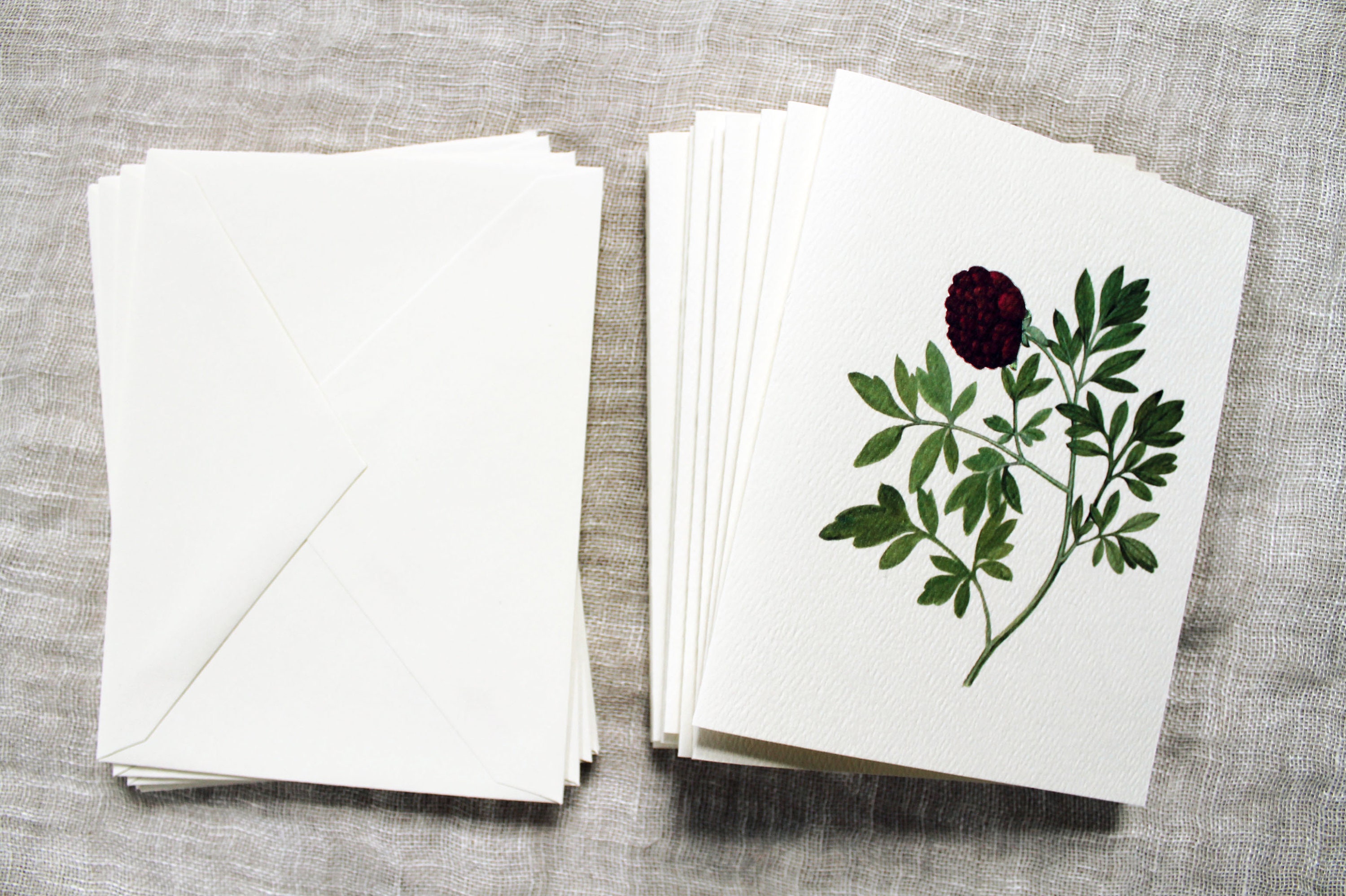 10 Flower Greeting Cards Set | Flower Blank Note Cards Set | Greeting ...