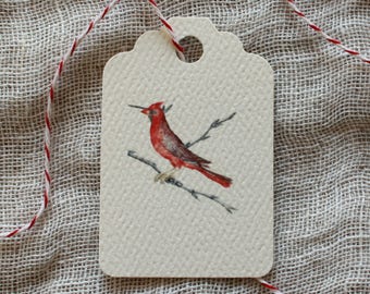 Red Cardinal Gift Tags | Holiday Gift Tags | Christmas Gift Tags | Winter Wedding Favor Tags Personalized | Woodland Baby Shower Hang Tags
