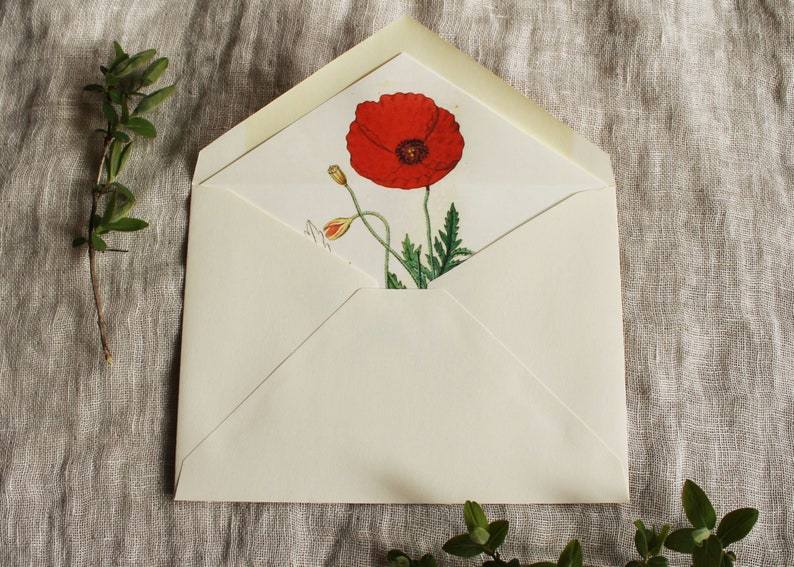 May include: A white envelope with a red poppy flower illustration on the front. The envelope is lying flat on a textured fabric surface.