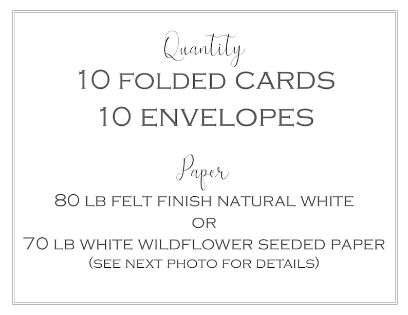 Nature-Themed Seed Paper Blank Greeting Cards Pack of 10 Biofriendly Cards image 5