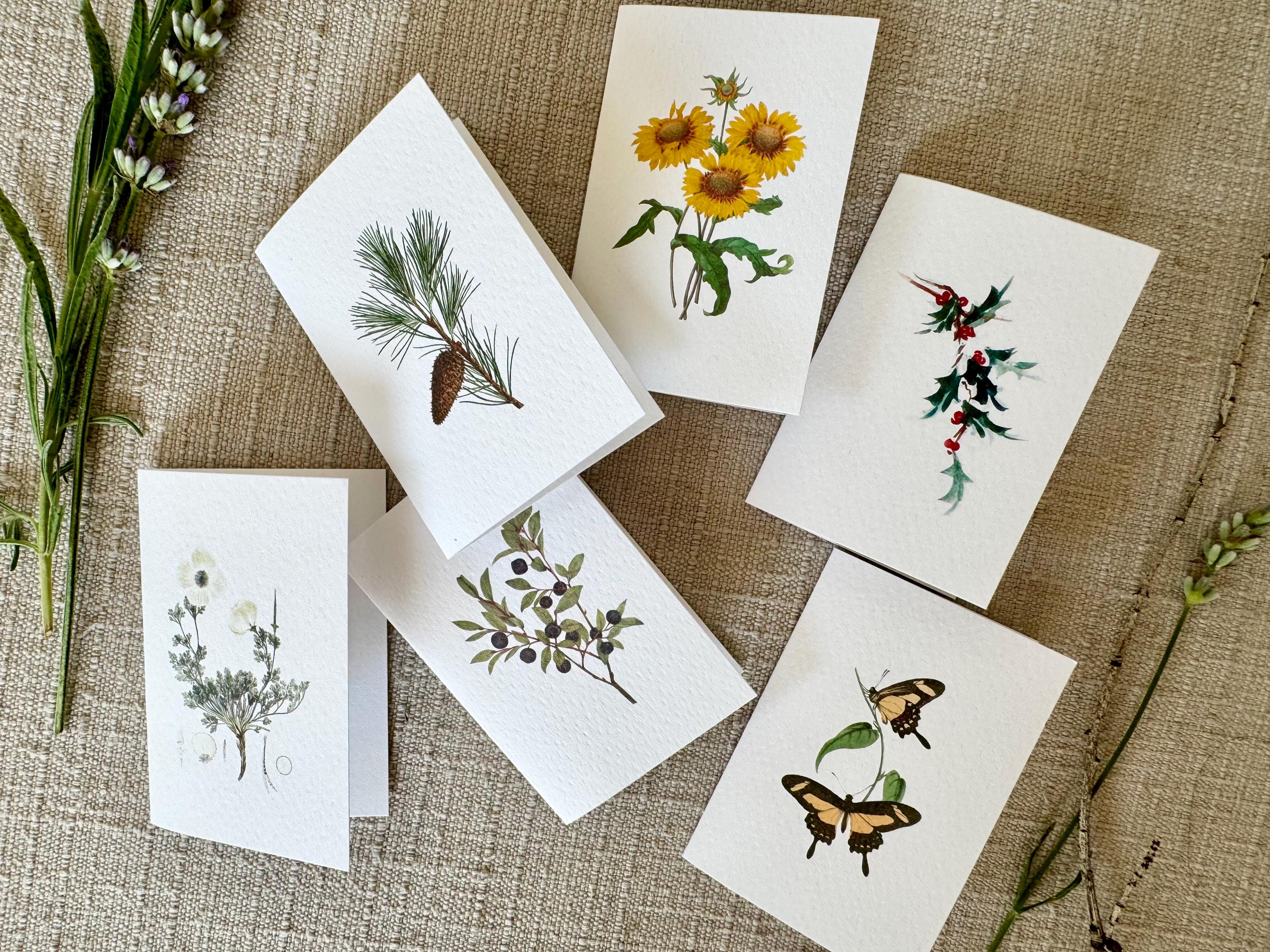 Mini Greeting Cards Variety Set | Small Cards | Mini Blank Cards | Mini ...